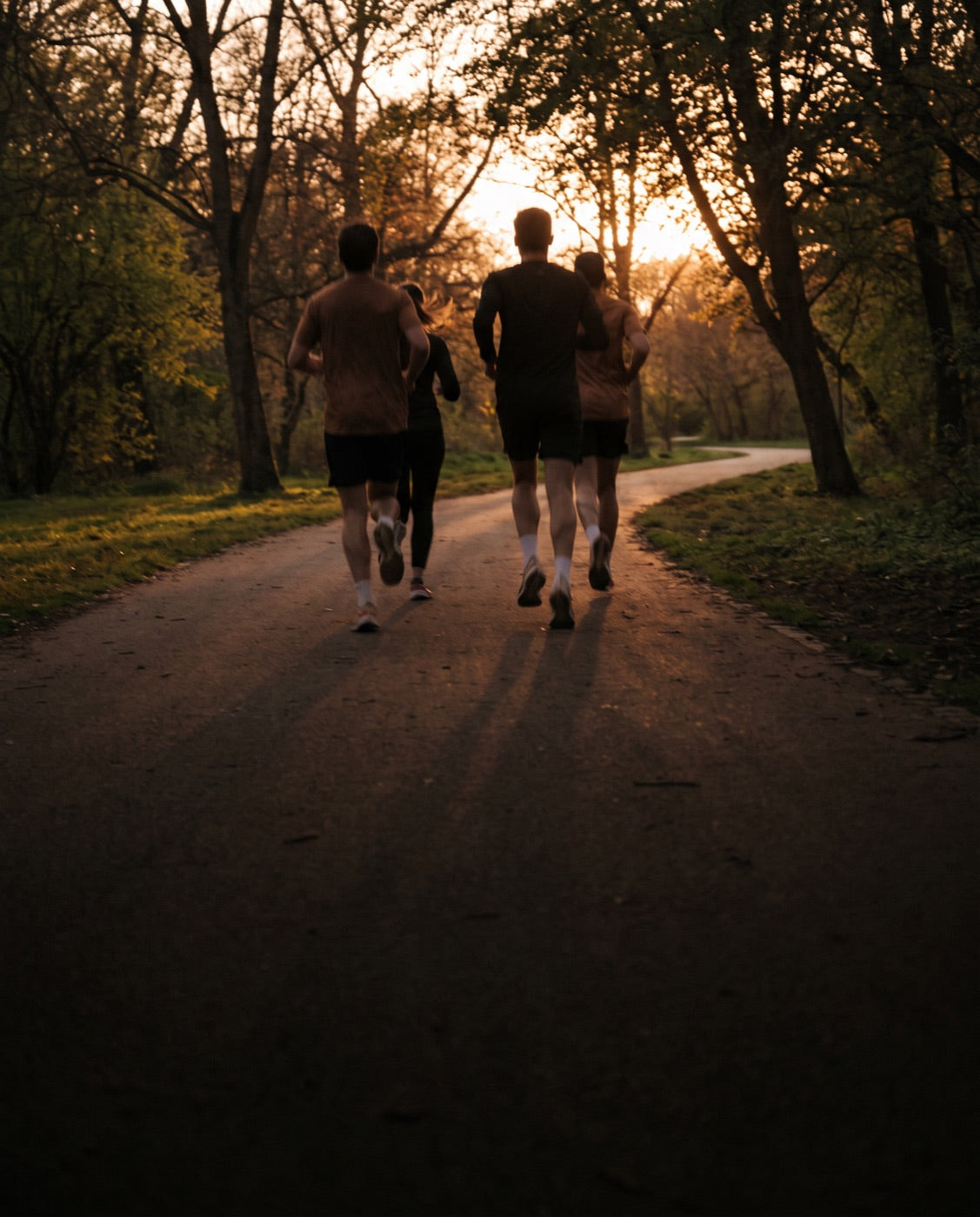 Group of runners on a park path at golden hour